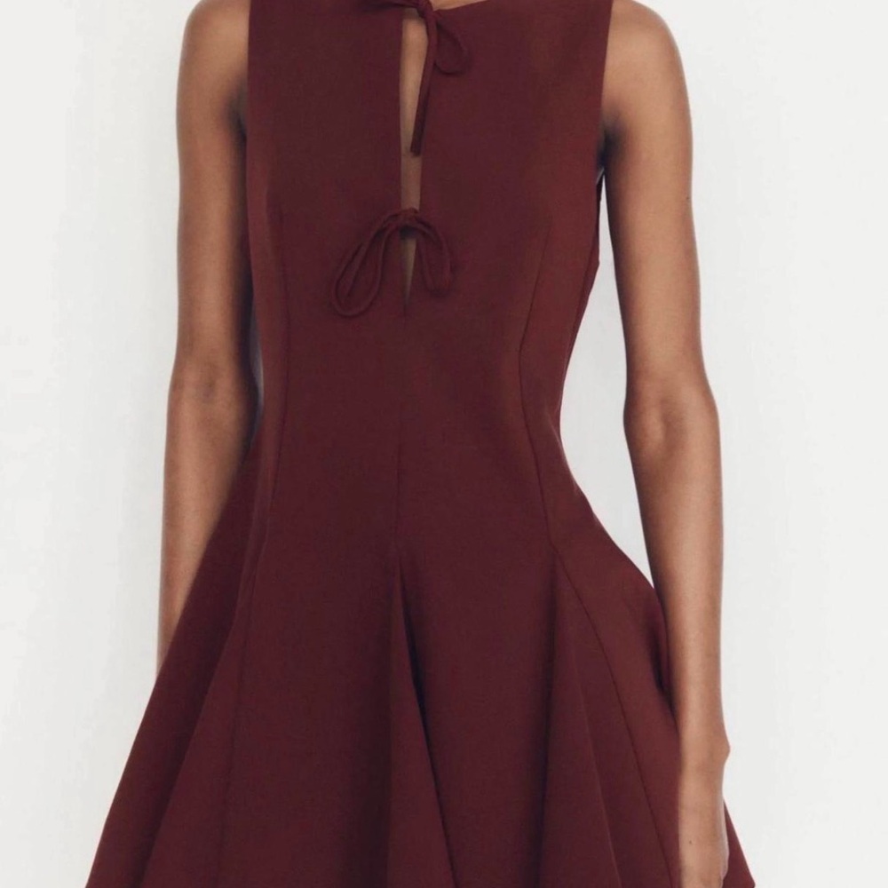 Zara Sleeveless Tie-Front Fit & Flare Dress in Burgundy
